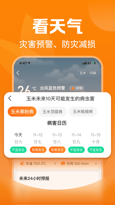 葡萄牙世界杯号码：C罗7号！菲利克斯11号，B费8号，B席10号